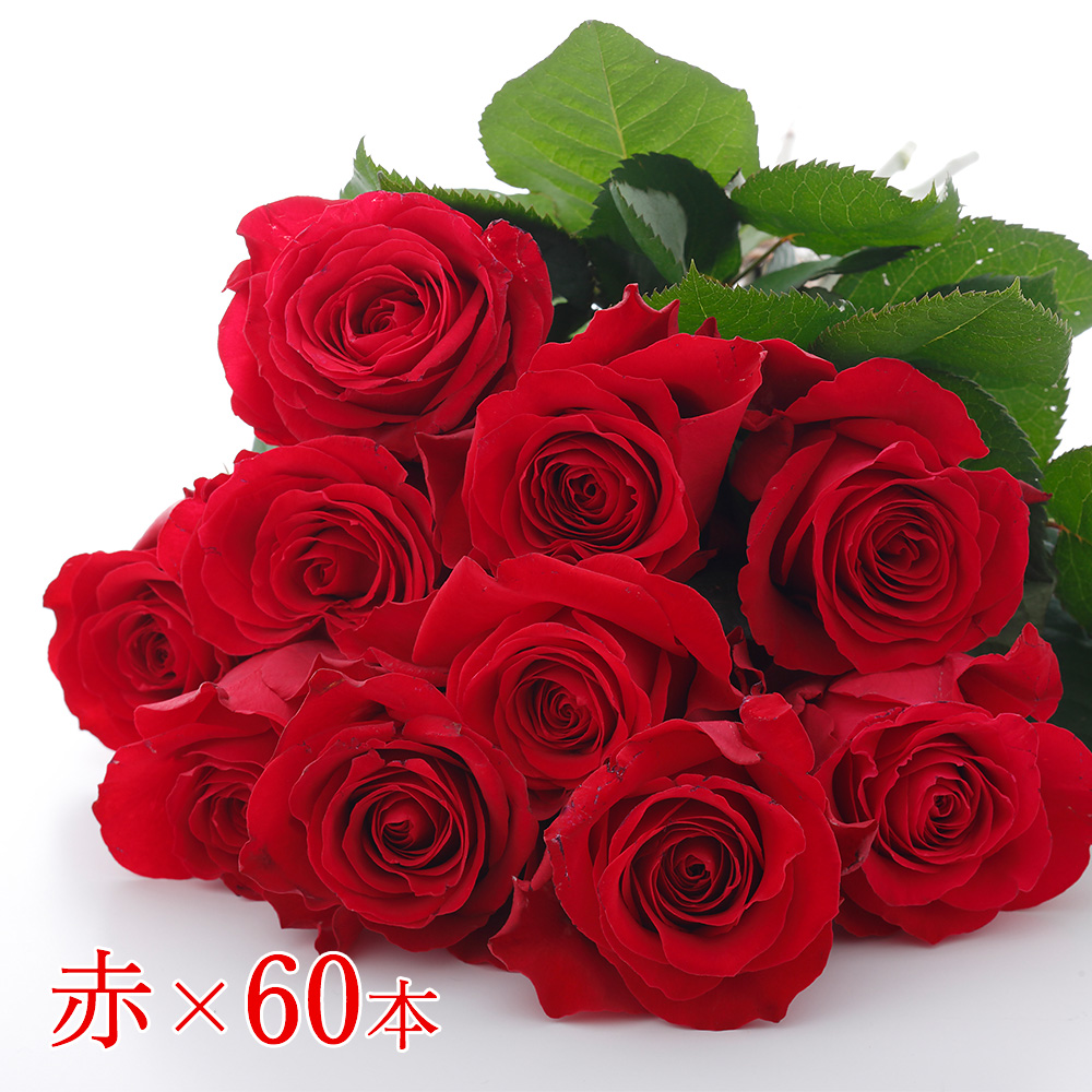 Kadokawa公式ショップ 花時間マルシェ 市場直送 優雅なひと時を贈るバラの花束 赤 60本 グッズ カドカワストア オリジナル特典 本 関連グッズ Blu Ray Dvd Cd