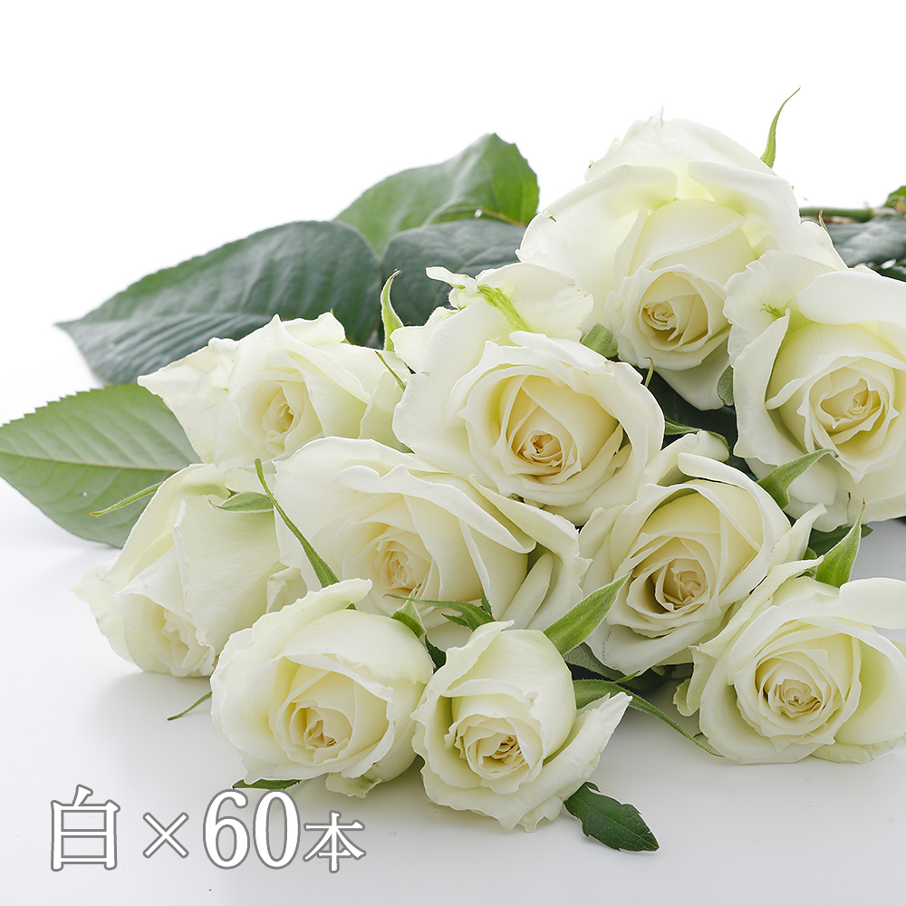 Kadokawa公式ショップ 花時間マルシェ 市場直送 優雅なひと時を贈るバラの花束 白 60本 グッズ カドカワストア オリジナル特典 本 関連グッズ Blu Ray Dvd Cd