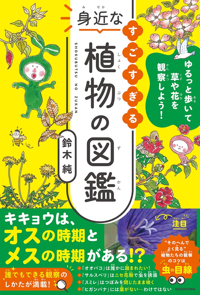 Kadokawa公式ショップ ゆるっと歩いて草や花を観察しよう すごすぎる身近な植物の図鑑 本 カドカワストア オリジナル特典 本 関連グッズ Blu Ray Dvd Cd