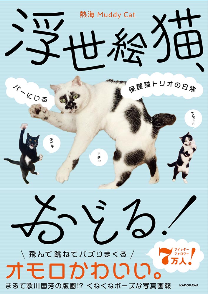 Kadokawa公式ショップ 浮世絵猫 おどる バーにいる保護猫トリオの日常 本 カドカワストア オリジナル特典 本 関連グッズ Blu Ray Dvd Cd