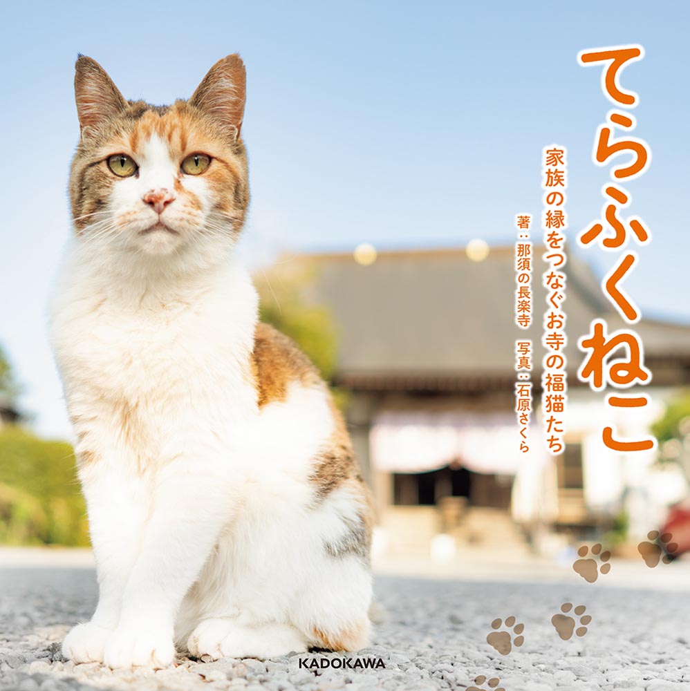 Kadokawa公式ショップ てらふくねこ 家族の縁をつなぐお寺の福猫たち 本 カドカワストア オリジナル特典 本 関連グッズ Blu Ray Dvd Cd