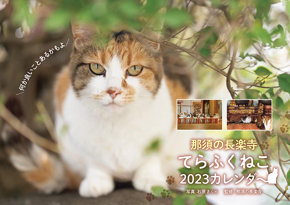 Kadokawa公式ショップ 那須の長楽寺 てらふくねこ 23カレンダー 本 カドカワストア オリジナル特典 本 関連グッズ Blu Ray Dvd Cd