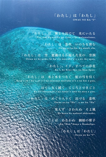 KADOKAWA公式ショップ】毎日を幸せにするホ・オポノポノ手帳2023: 本 ...