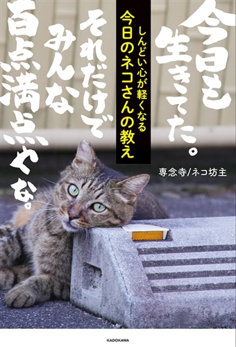 【KADOKAWA公式ショップ】しんどい心が軽くなる 今日のネコ