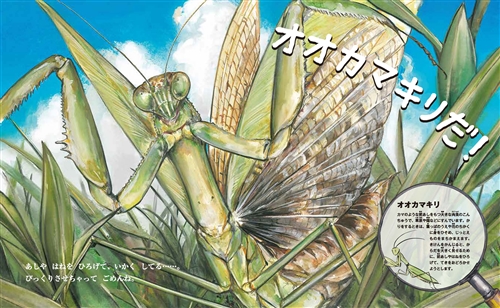 Kadokawa公式ショップ すごい虫ずかん くさむらの むこうには 本 カドカワストア オリジナル特典 本 関連グッズ Blu Ray Dvd Cd