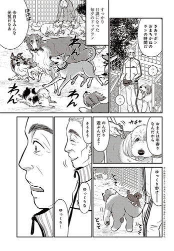 KADOKAWA公式ショップ】DOG SIGNAL 8: 本｜カドカワストア|オリジナル 