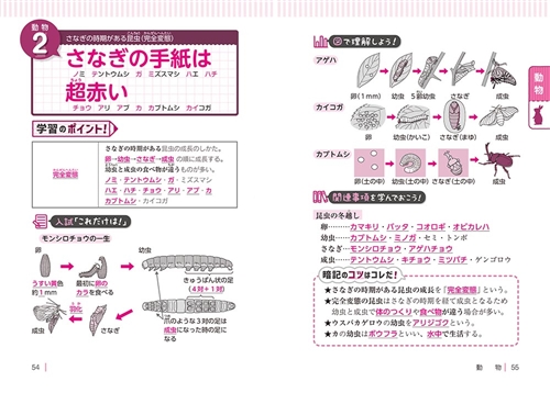 KADOKAWA公式ショップ】改訂版 中学受験 ここで差がつく！ ゴロ合わせ