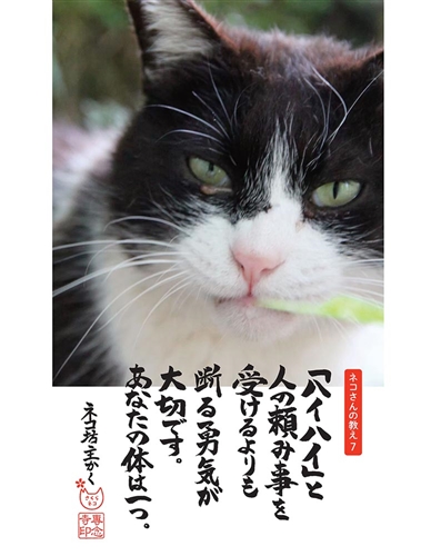 KADOKAWA公式ショップ】しんどい心が軽くなる 今日のネコさんの教え