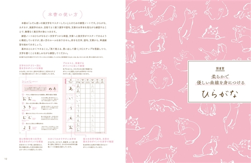 Kadokawa公式ショップ ふだんの美文字練習ノート 本 カドカワストア オリジナル特典 本 関連グッズ Blu Ray Dvd Cd