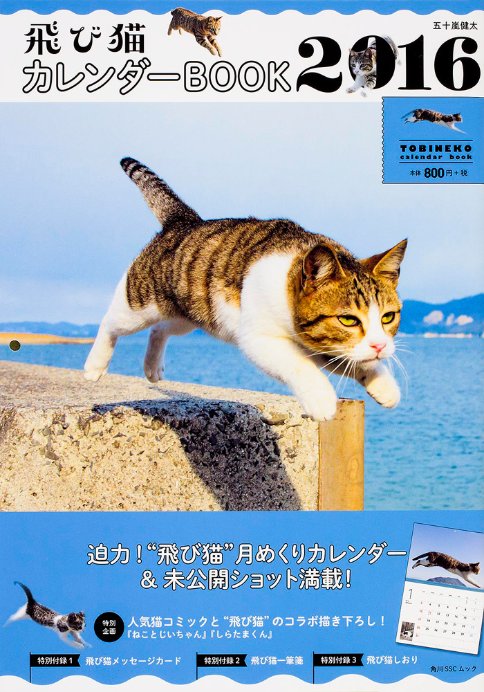 Kadokawa公式ショップ 飛び猫 カレンダーbook 16 本 カドカワストア オリジナル特典 本 関連グッズ Blu Ray Dvd Cd