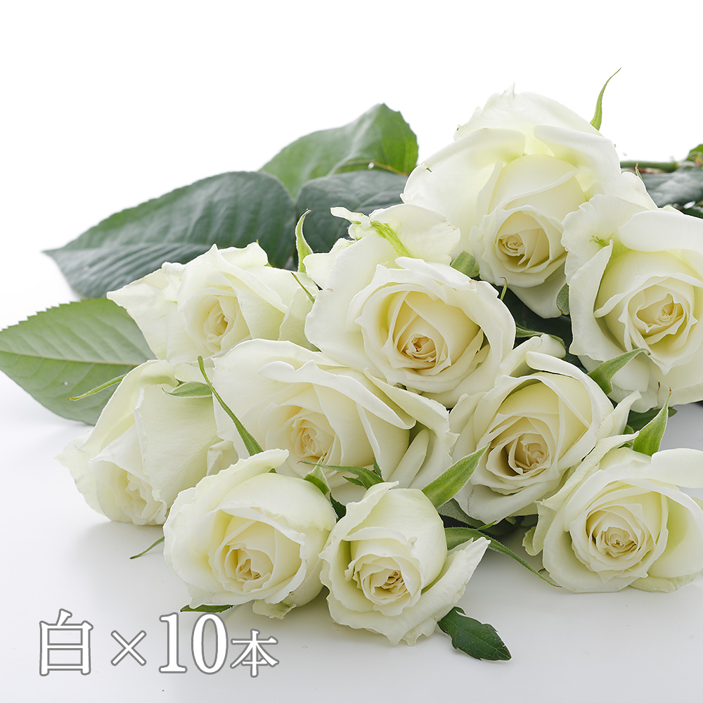 Kadokawa公式ショップ 花時間マルシェ 市場直送 優雅なひと時を贈るバラの花束 白 本 グッズ カドカワストア オリジナル特典 本 関連グッズ Blu Ray Dvd Cd