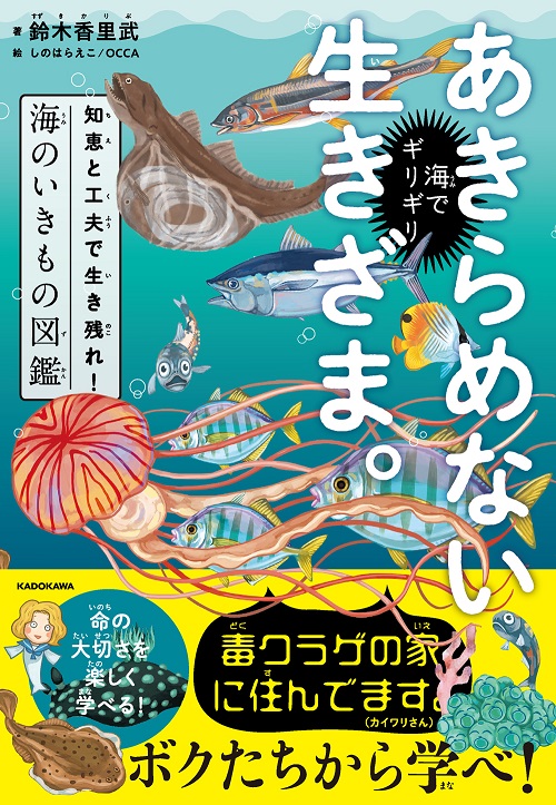 Kadokawa公式ショップ 高丘親王航海記 Ii 本 カドカワストア オリジナル特典 本 関連グッズ Blu Ray Dvd Cd