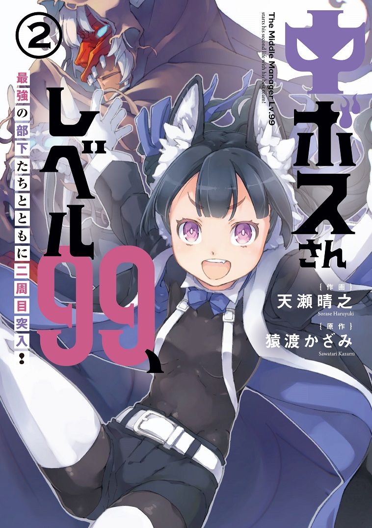 Kadokawa公式ショップ 完璧なレベル９９など存在しないｉｉ 本 カドカワストア オリジナル特典 本 関連グッズ Blu Ray Dvd Cd